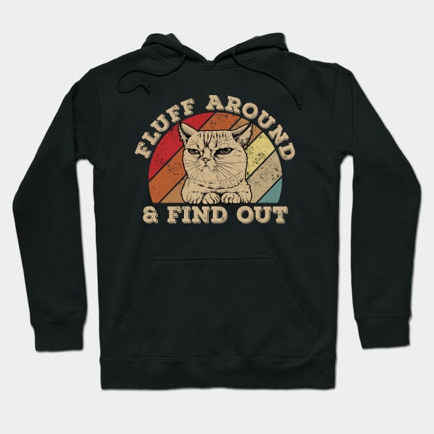 Funny Cat Fluff Around And Find Out Hoodie by Jason Smith